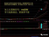 九游体育官网-欧洲赛场收官之战，涨停的里尔期待全胜出线的简单介绍