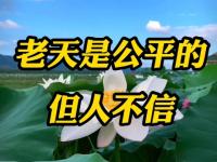 九游娱乐网址-真的老到不认识人了？伊万能否在告别战绝杀正名！