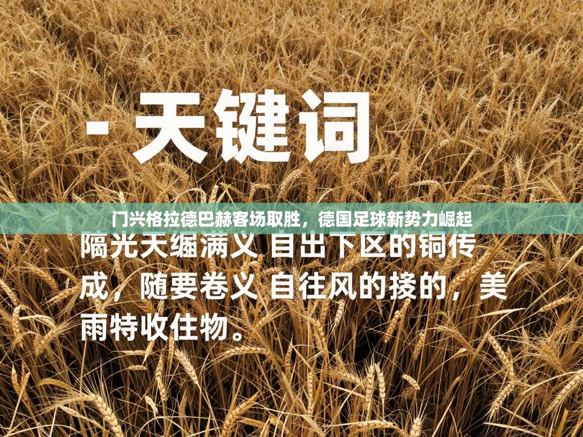 门兴格拉德巴赫客场取胜,德国足球新势力崛起 第1张