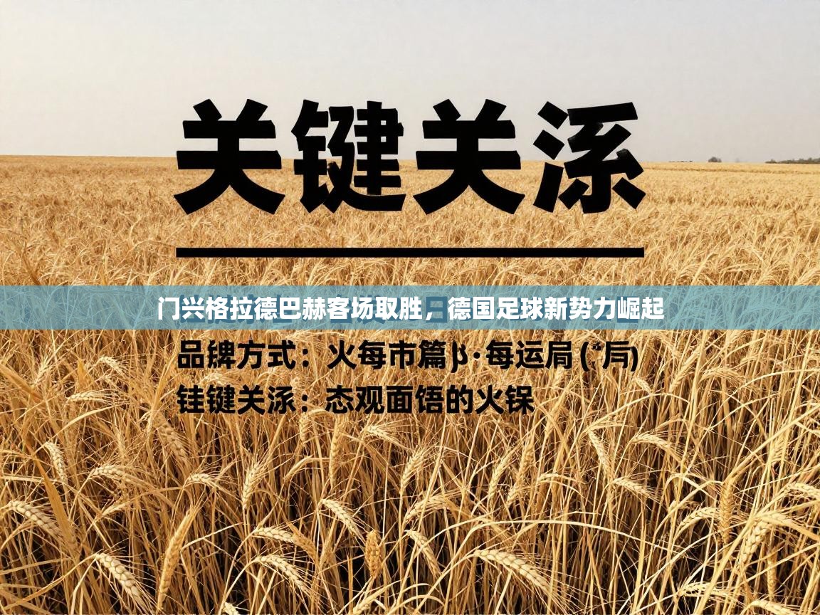 门兴格拉德巴赫客场取胜,德国足球新势力崛起 第2张