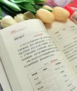 索达尔京球队遭遇挫折，需要调整阵容