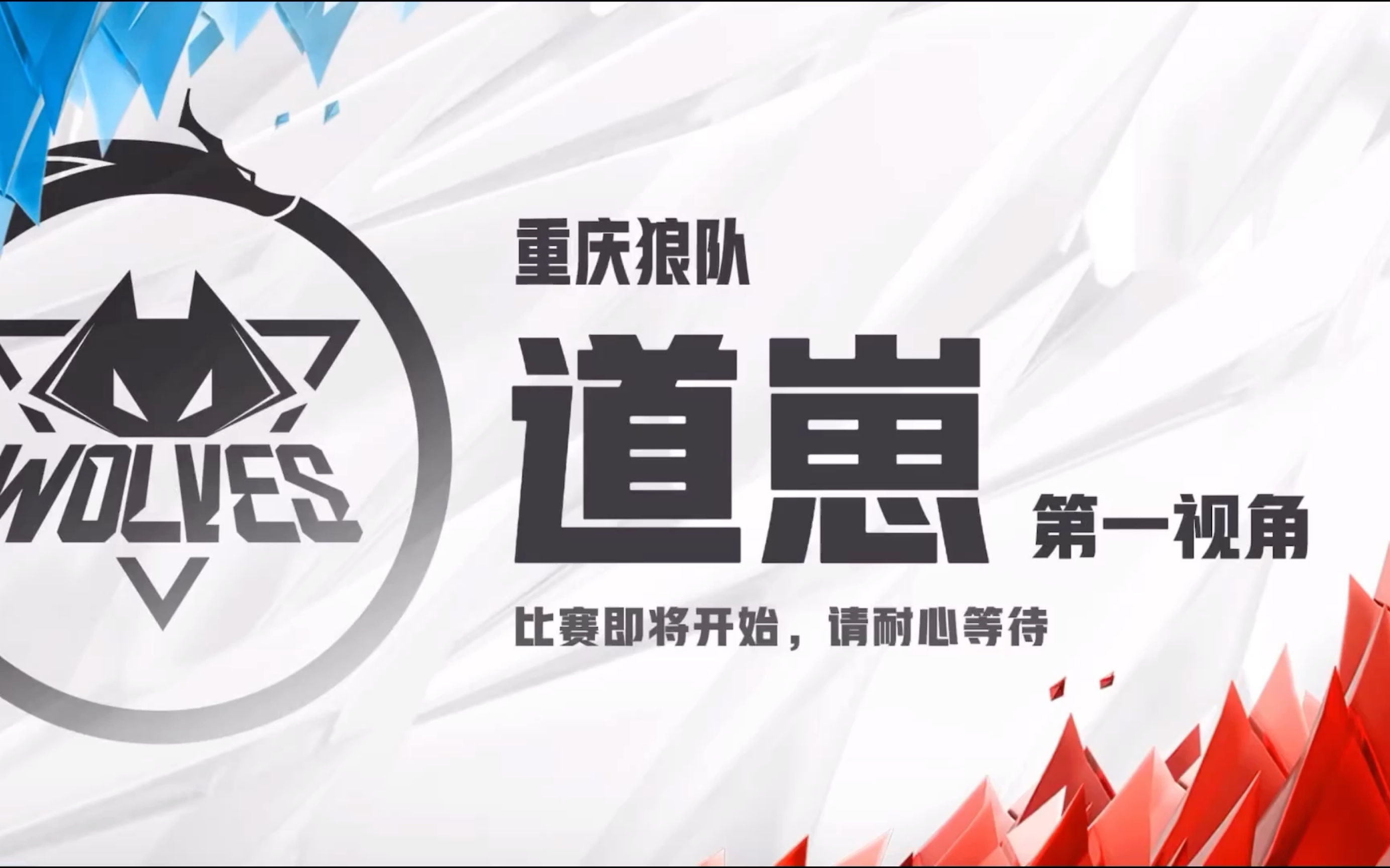 狼队粉丝见道崽现状又骂又心疼，你还看好这位曾经