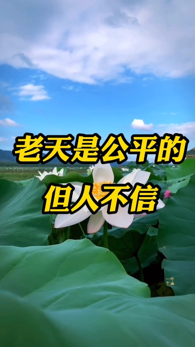真的老到不认识人了？伊万能否在告别战绝杀正名！
